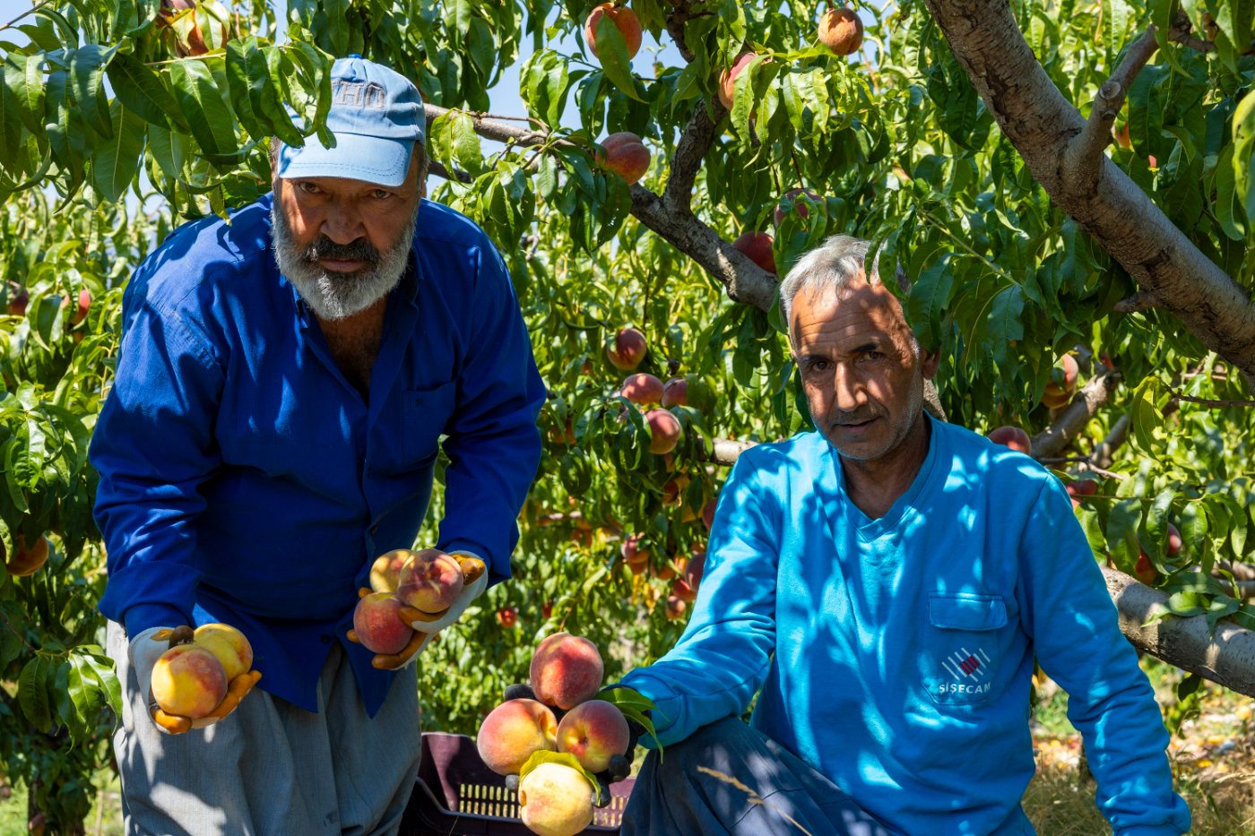 Üreticinin Emeğine Sahip Çıkıyorlar