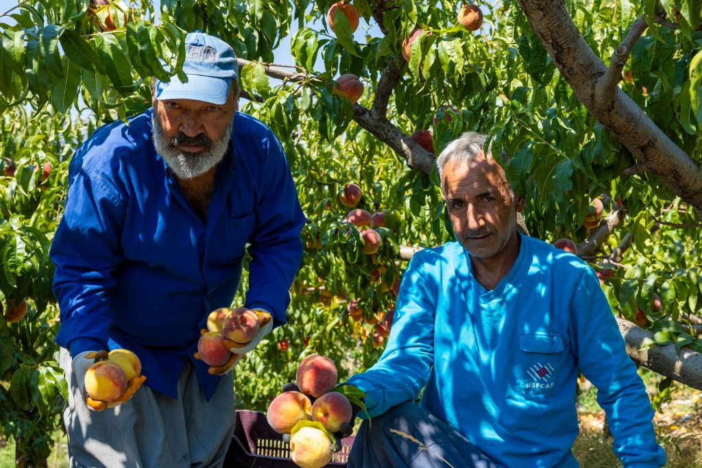 Üreticinin Emeğine Sahip Çıkıyorlar
