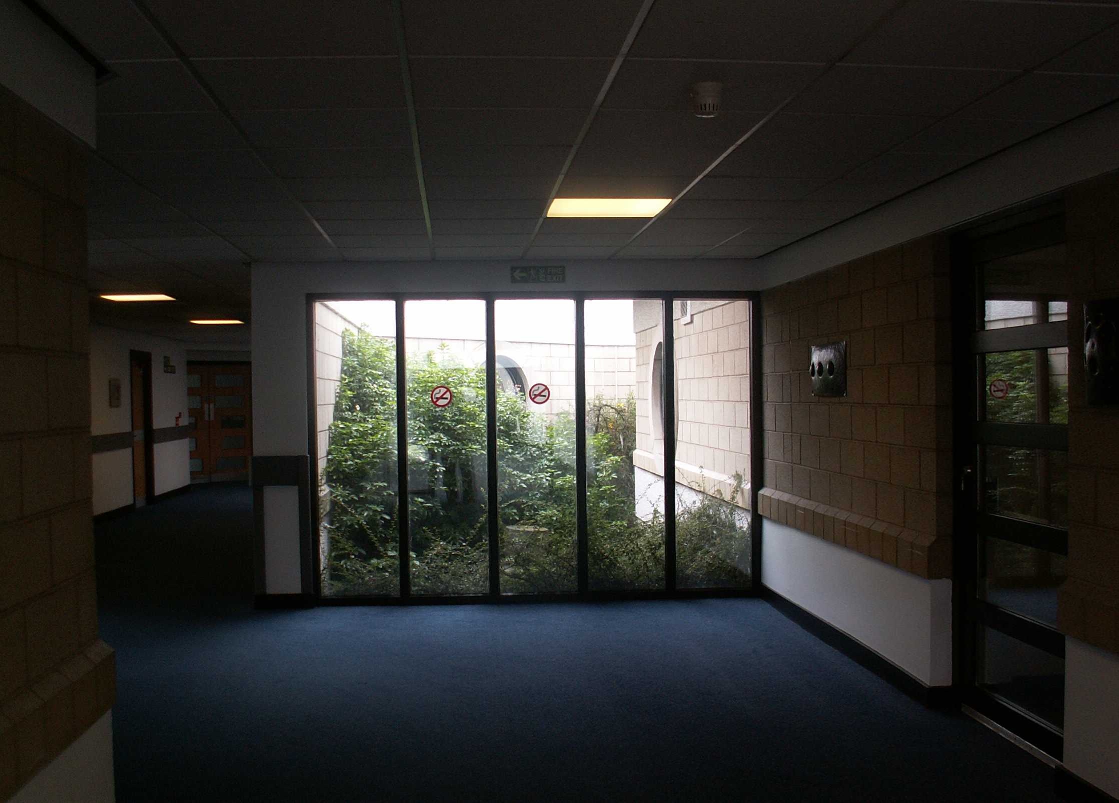 Hospitals corridor (arşiv)