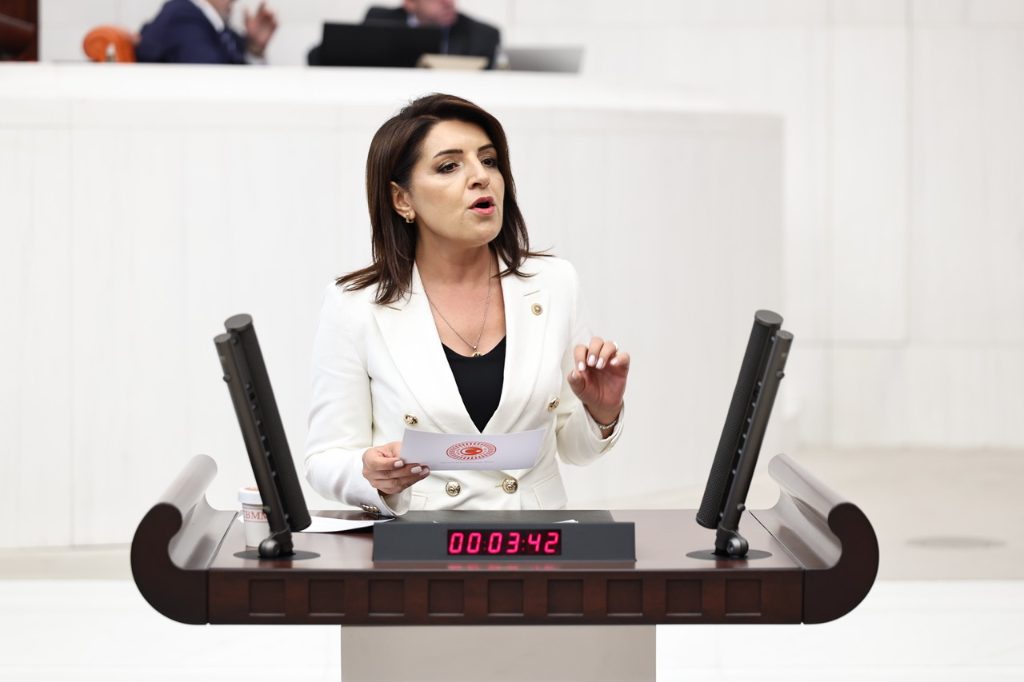 Gülcan Kış: Milletin otoları Köprüleri 30 Yıllık Kazanç Kapısı Olamaz