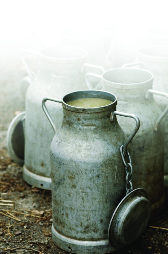 Virüs Taşıyıcısı olabilirler