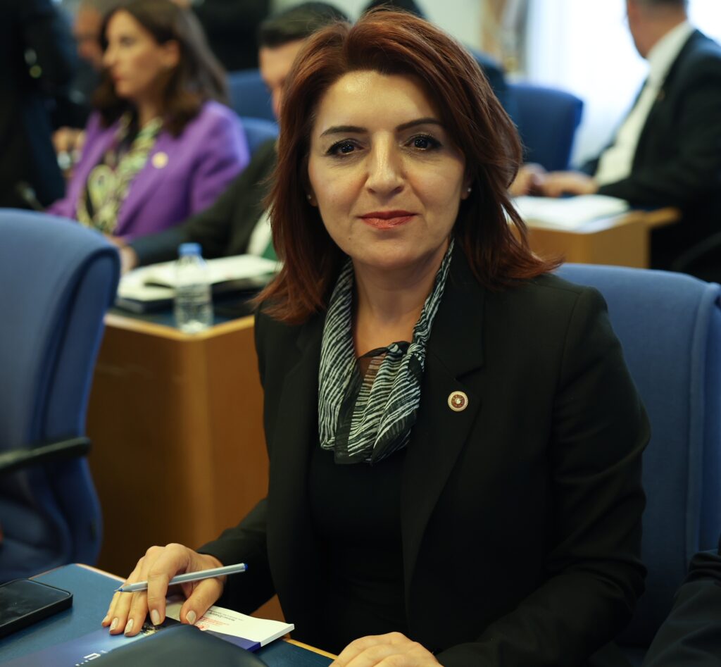 CHP Mersin Milletvekili Gülcan Kış  Geçtiğimiz Hafta TBMM’de Yoğun Bir Mesai Geçirdi