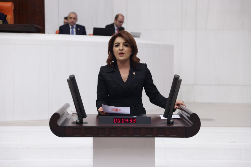 CHP Mersin Milletvekili Gülcan Kış Ticaret Bakanı’na Tepki Gösterdi