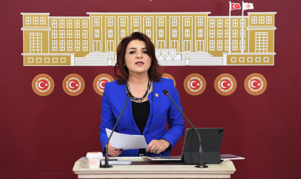 CHP Mersin Milletvekili Gülcan Kış: Hükümeti Açıklama Yapmaya Davet Etti