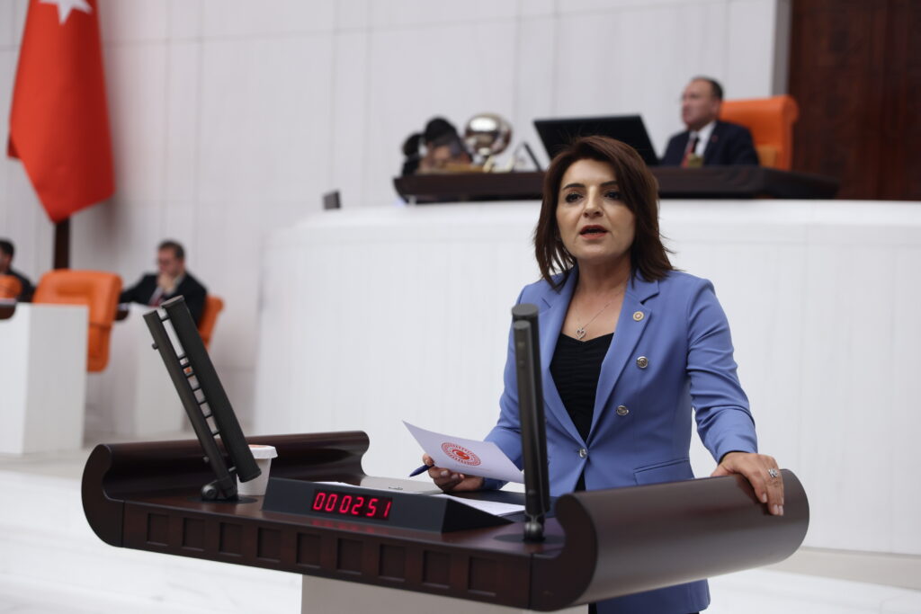 CHP Mersin Milletvekili Gülcan Kış Maden Yasası’na Tepki Gösterdi 