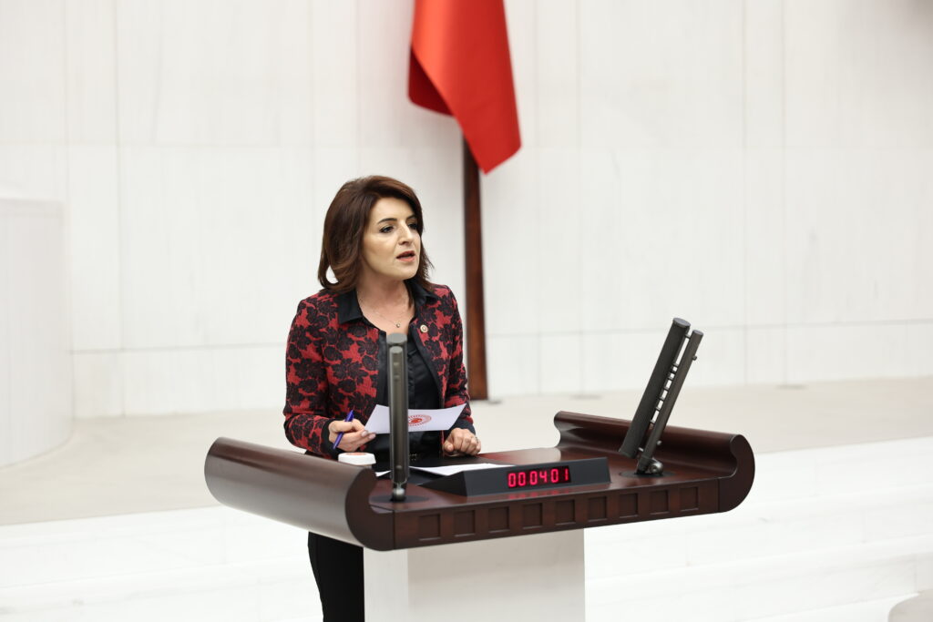 CHP’li Gülcan Kış, Mersin Milletvekillerini Göreve Çağırdı