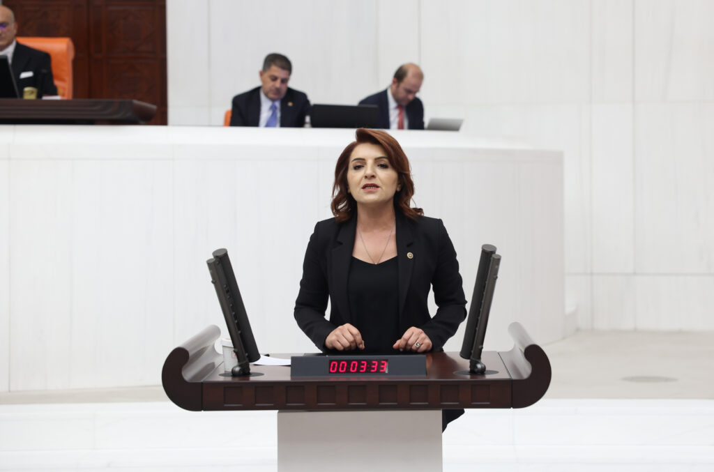 Milletvekili Gülcan Kış TBMM Kürsüsünden Mersin’in Sesi Oldu